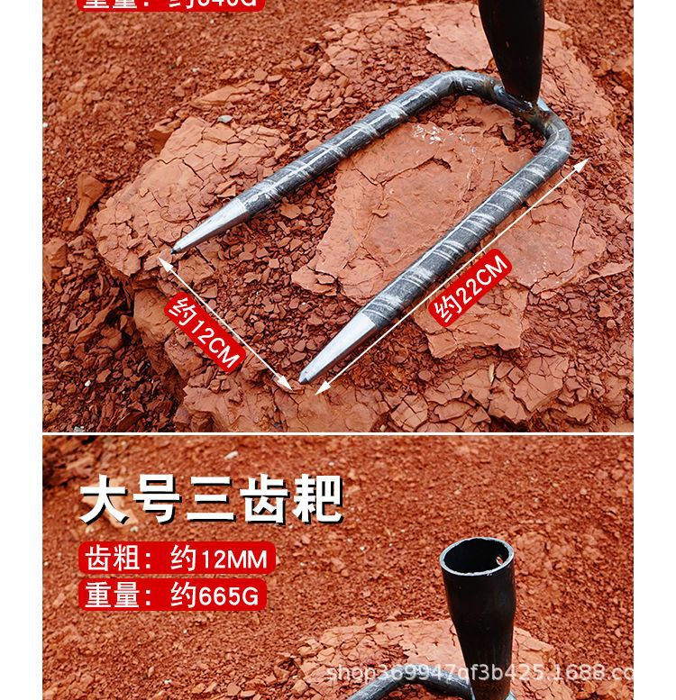 详情图片_10.jpeg