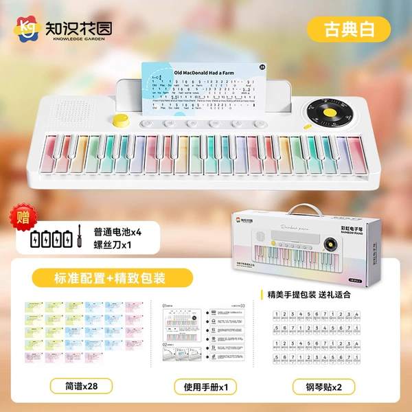 Rainbow battery, piano for beginners, 37 keys