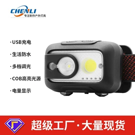 工作/检修灯;头灯头戴电筒;野营/露营灯