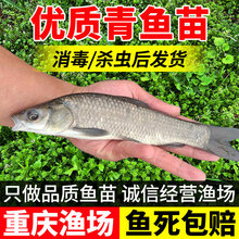 �ݽz���~������~����Ͳ��~���a�~���Ĵ���~���Bֳ���w�~�����