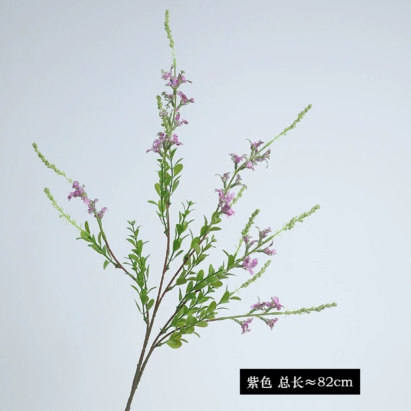 보라색