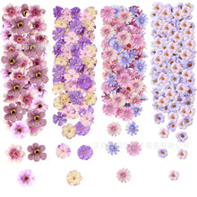 50�����b����С�r��̫ꖻ��^diy���ϼٻ����滨��c�û���������