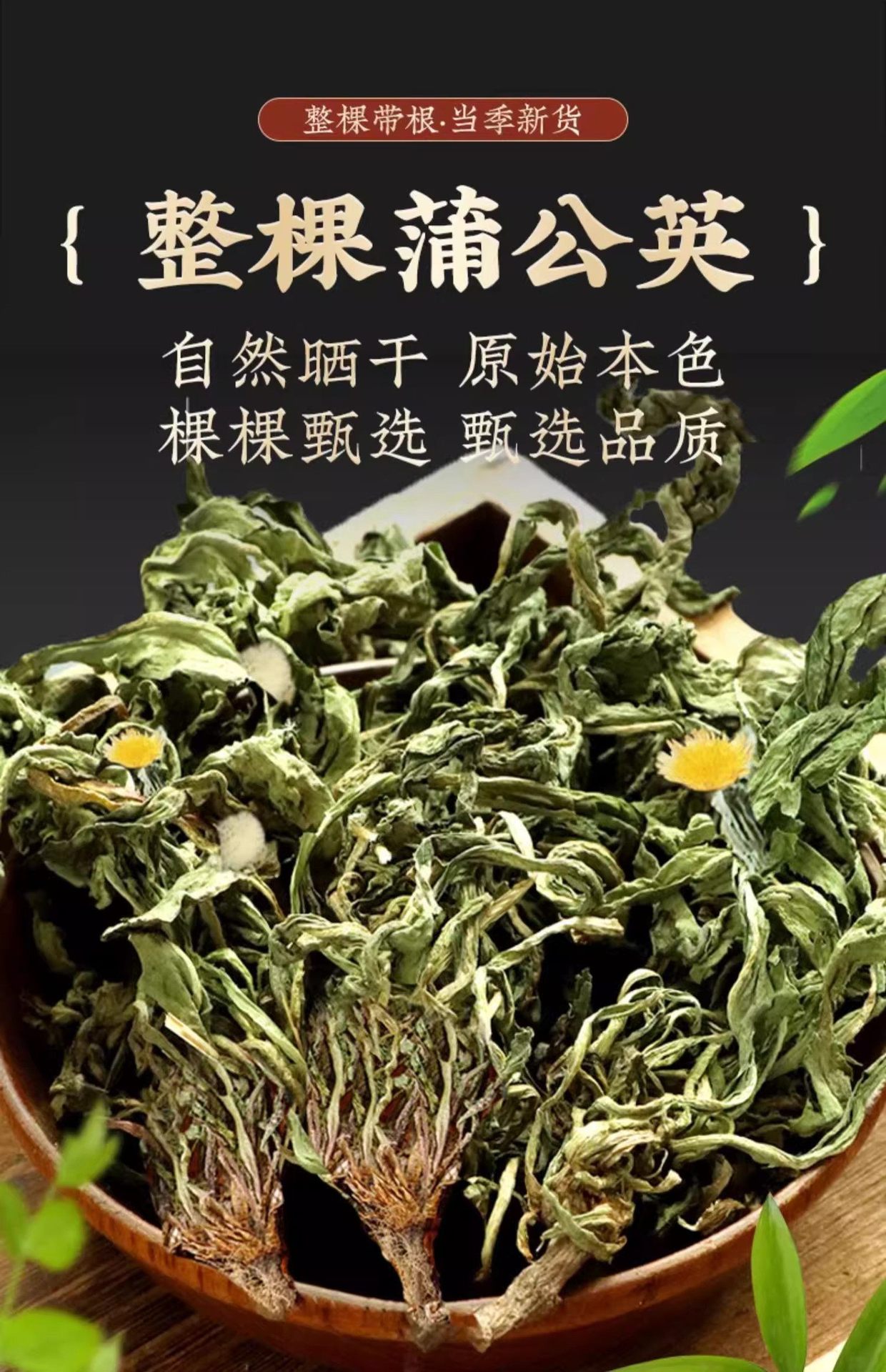 Dried Dandelion Root and Leaf Whole Plant 500g Wild-Harvested Pugongying Herbal Tea Ingredient overview
