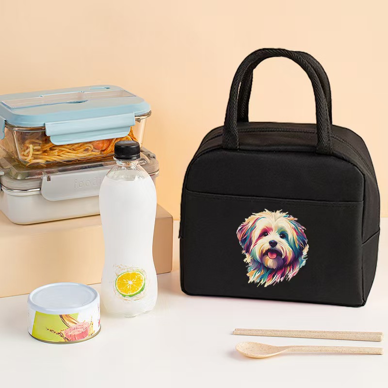 Bolsa aislante impresa transfronteriza Bolsa de almuerzo de trabajo Bolsa de hielo de papel de aluminio portátil Bolsa de almacenamiento de almuerzo para estudiantes Bolsa bento de picnic