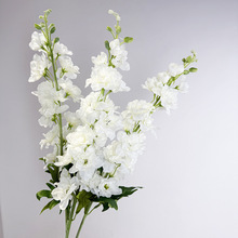 ����Ӣï�w��ݿ͏d����̨���bzӰ���߼Ҿ�ܛ�b�ٻ�������O