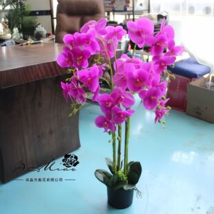 Fake Flower Phalaenopsis Large Bonsai Artificial Flower Creative Ornaments Manufacturer Direct Supply Artificial Plant Foam Artificial Potted Plant
