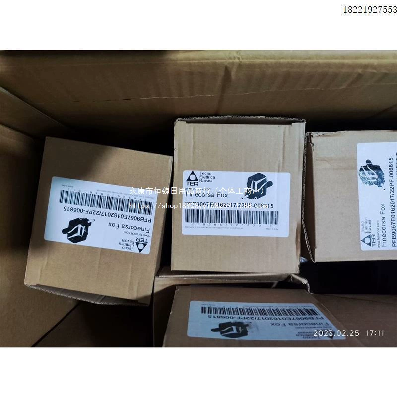 Италия TER PFB9067E0162017 / 22PF-006815 дефолтный элемент концевого выключателя