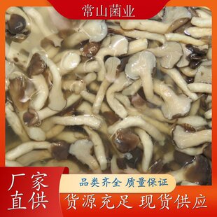 ���Ƽ��� Ģ�����a���ع��� �I�B�S������Ҝ����� �F؛����