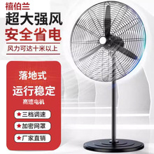 ���I��L�ȏ������ȴ��������������ţ���L�ȳ���ȩ���L��