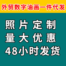 外贸一件代发DIY数字油画手工填色挂画照片定&做油彩丙烯画批发