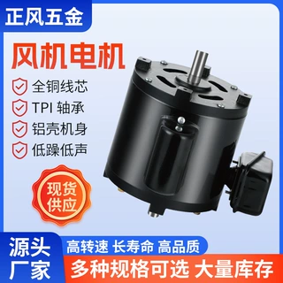 厂家直供工业设备电动机可定制双头电机CY系列马达机械风机