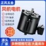 双头工业系列设备电动机