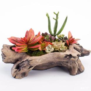 辰ℓ₀͵ľWtWͥԺ@b