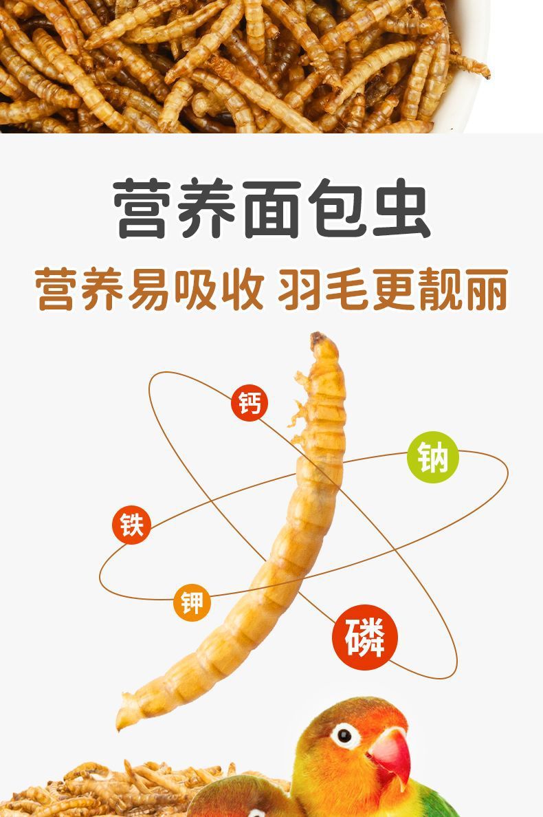 9b981754-5a58-4140-ac3e-79b2f3e57be2.jpe