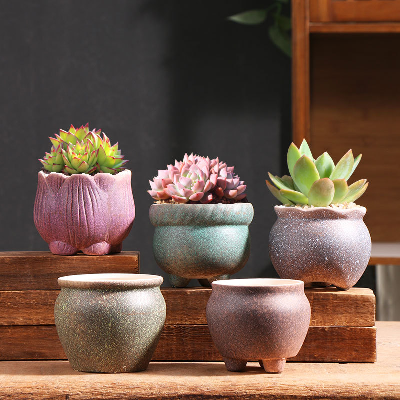 Olla de cerámica para flores suculentas, gran tamaño pequeño carne, hogar arcilla suculenta flor olla, directa fábrica al por mayor