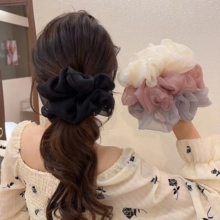 �ļ�����̖���c�lȦ㼑��L��ʽѩ�����^��2024�¿������^�lȦ�l�