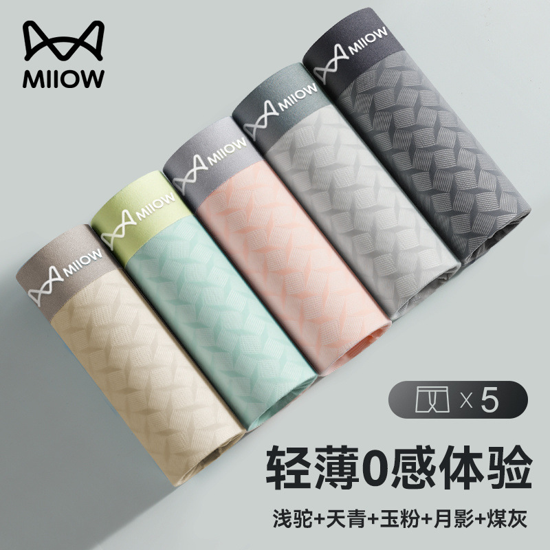 [메인 사진 자카드 스타일] 5종 조합 B