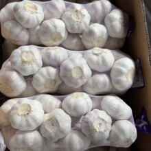 ɽ�|�������l4.5-6.cm��Ƥ���^������ȥƤ���|���x���bɽ�|���l