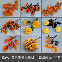 ɫϵ5c·Yõ픻žƵܛb̻滨ٻ