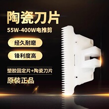 �����l�ձ��Lë��Ԫ�����մɌ���ͨ���͵׵���Ƽ���Ƭ�h������