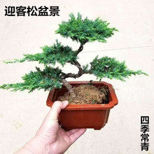 �����辰ӭ���������辰�ļ����������ɰصذ��҃��辰�k�����辰