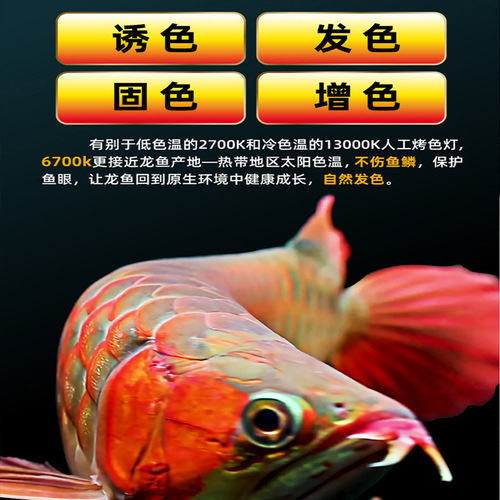 Neo SOLAR Daylight Color Lamp Thunder Dragon Fish Special Lamp Diving Lamp LED Fish Tank Lamp Goldfish Brightening Lamp