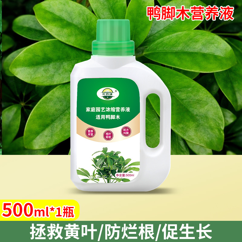 鸭脚木专用营养液500ml*1瓶