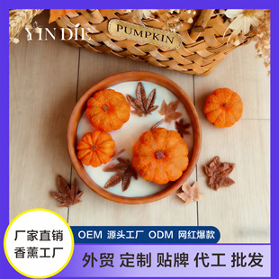�f�}���Ϲ���޹Ϟ�T �S�չ����~�[�� ���հ��ֶY�Ҿ��b羳�¿�