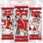 宫城周边花道绸布挂画