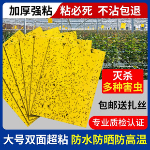 Yellow Board Double-Sided Sticky Insect Trap Board Mosquito Insect Sticker to Kill Small Flying Insects Fruit Fly Trap Orchard Greenhouse Sticky Fly Paper