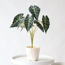 实物实拍3D打印手感海芋叶绿植景观造景仿真叶子热带雨林装饰绿叶