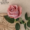Yanfen