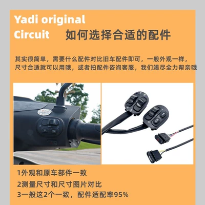 Other Electric Vehicle Accessories: Original Electric Vehicle Battery