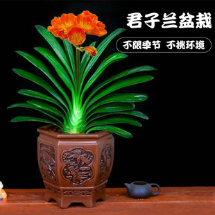 �����m�������玧�����ļ����B���ܾGֲ���҃��̨�A�^���д�С��