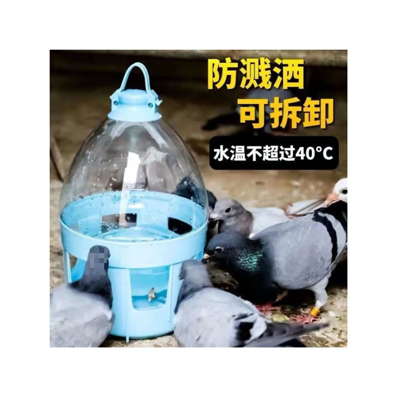 鸽子用品用具饮水器自动喂水信鸽水槽赛鸽喝水桶鸽具鸡用水壶加厚|undefined