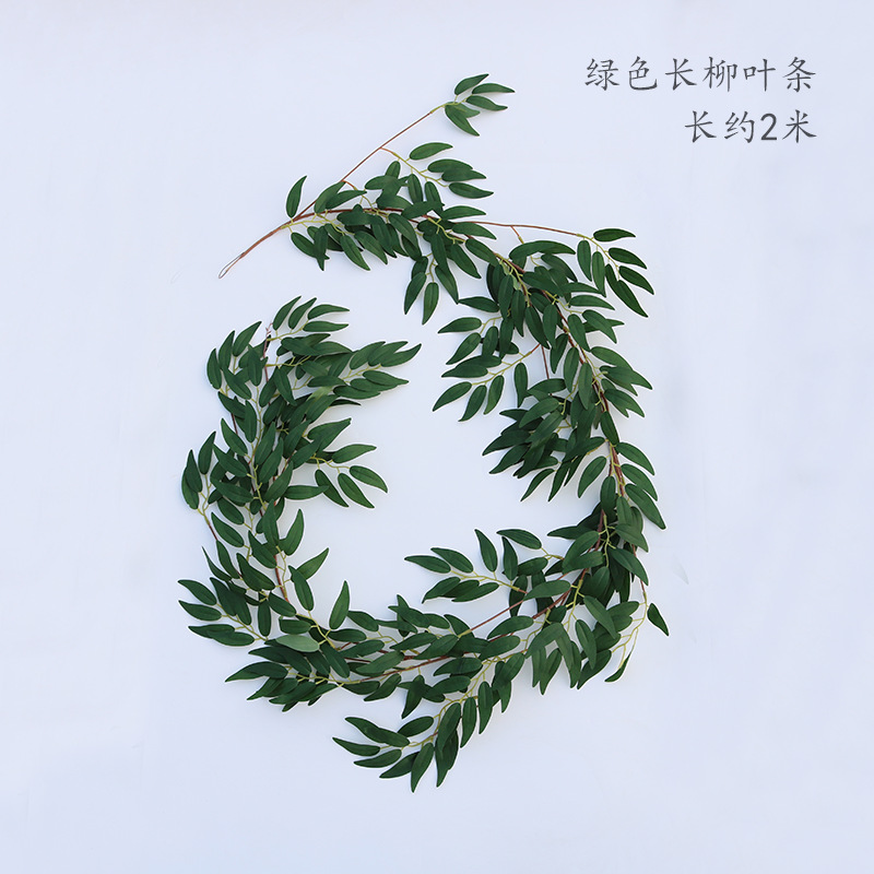 Tira de hoja de sauce largo verde