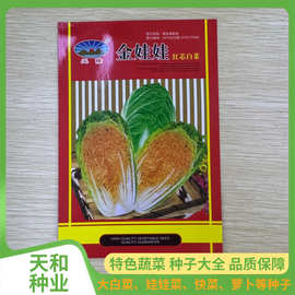 速生娃娃菜鲜嫩阳台小院 蔬菜种子 生长快丰产菜籽播种蔬菜
