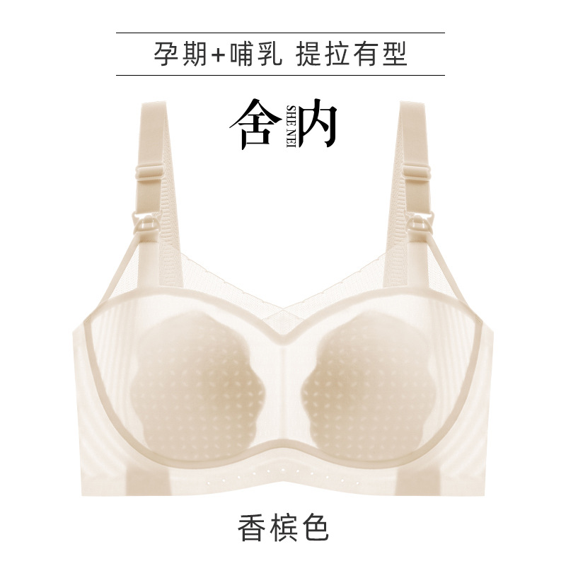 샴페인