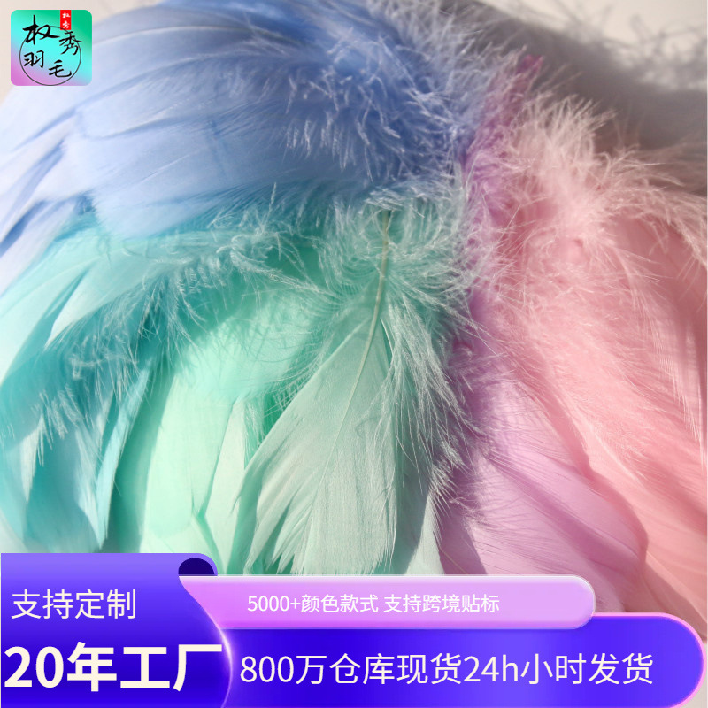 Macaron Color diy Decorative Feather Goose Feather Large and Medium Floating Feather Dreamcatcher Gift Box Decorative Handmade Feather