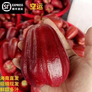 ���ں��Ϯ����ڽ���ɏ�F1/3/5���b ���rˮ�����]�Fժ�F�l��S���\