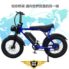 (輸出のみ) 2025新型20インチ鉄フレーム山地オフロード全免震太ったタイヤ電動自転車