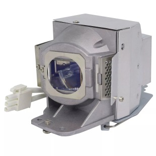 Acer Acer Projector Lamp AK.BLBJF.Z11 for H6510BD P1500