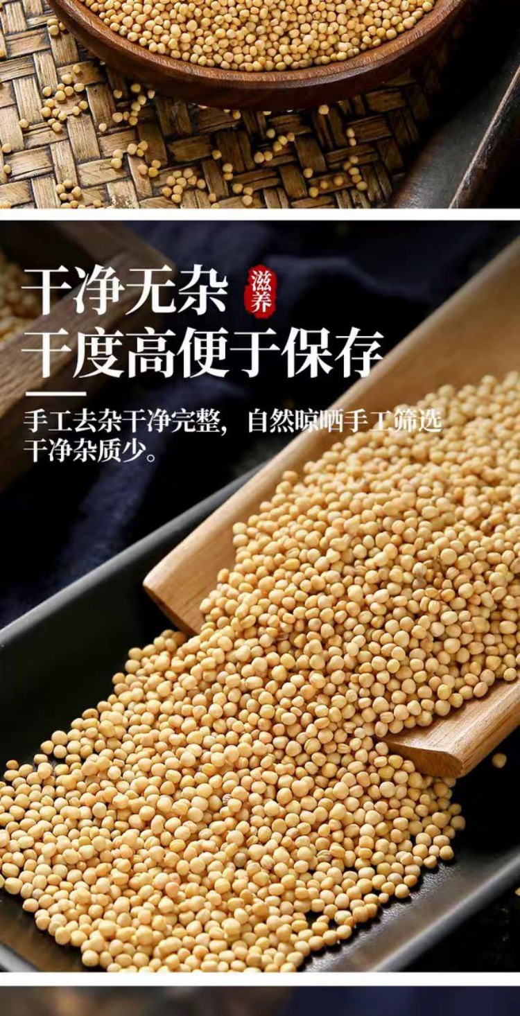 Bai Jie Zi (Sinapis alba) — Sichuan White Mustard Seed, Dried Food Herb 500g quality and texture