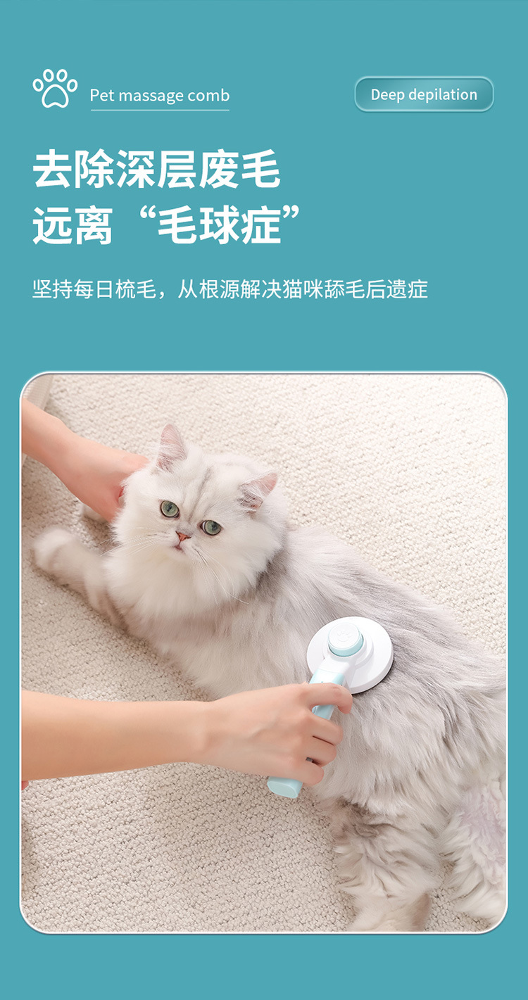 宠物梳毛器_13.jpg