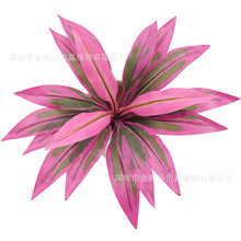 ���滨���l�Gֲ�쾰�b��콶�~ 18�^�tɫ����ľ��Ѫ��tɫ�~��