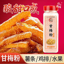 甘梅粉 梅子粉鸡排地瓜薯条撒粉商用500g甘梅撒料干梅粉