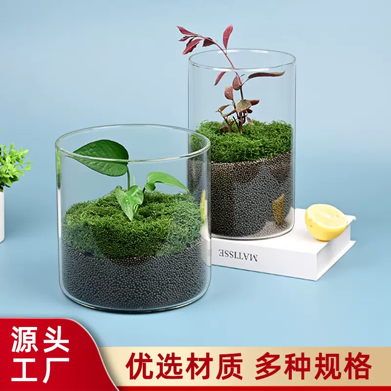 高硼硅高透明大口径微景观瓶水培生态瓶 玻璃斗鱼缸水草植物缸