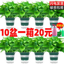 G}҃ȺBȩ՚ˮֲGֲԾGjl