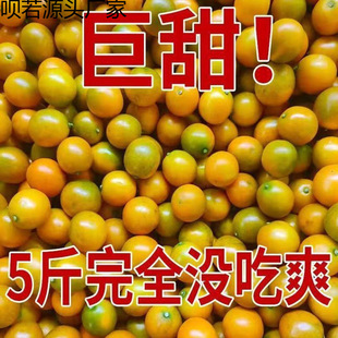 �V���ڰ���۴�Ƥ��ۑ������rˮ�����ӬFժ������]���Sһ�����l