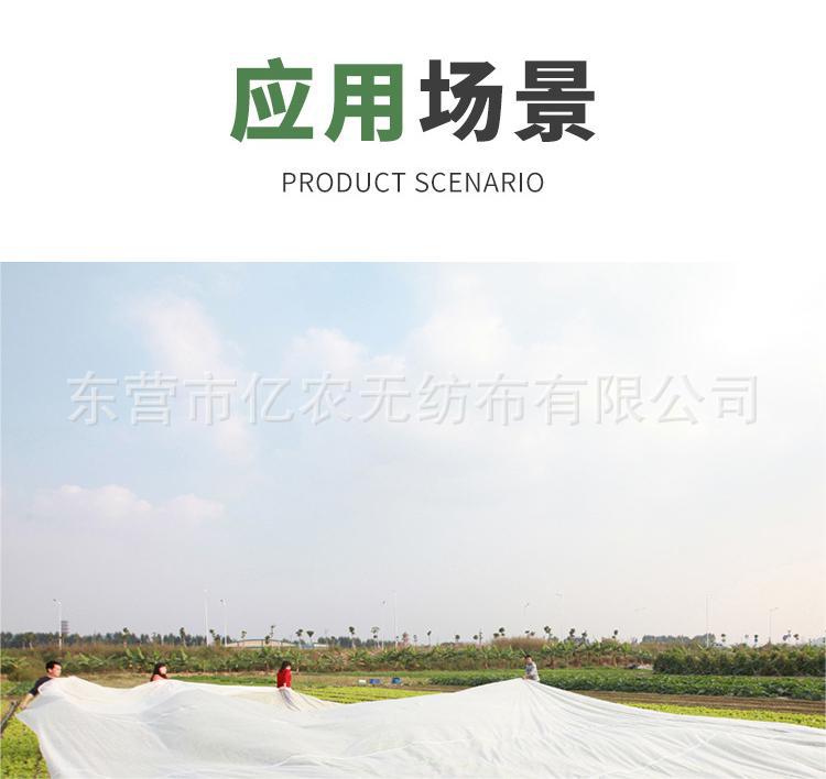 O1CN01fd5Cyb1bWgVqvA91J_!!2924243473-0-cib.jpg?__r__=1722236006215